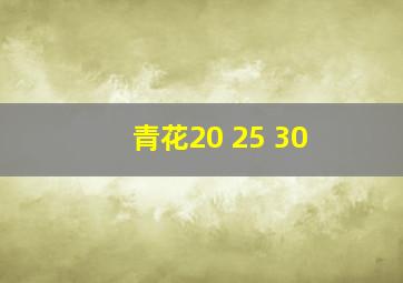 青花20 25 30